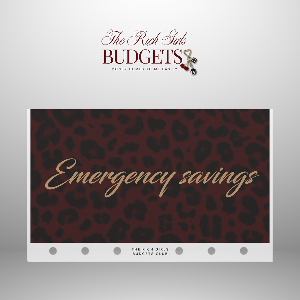 Leopard Society Cash Envelope