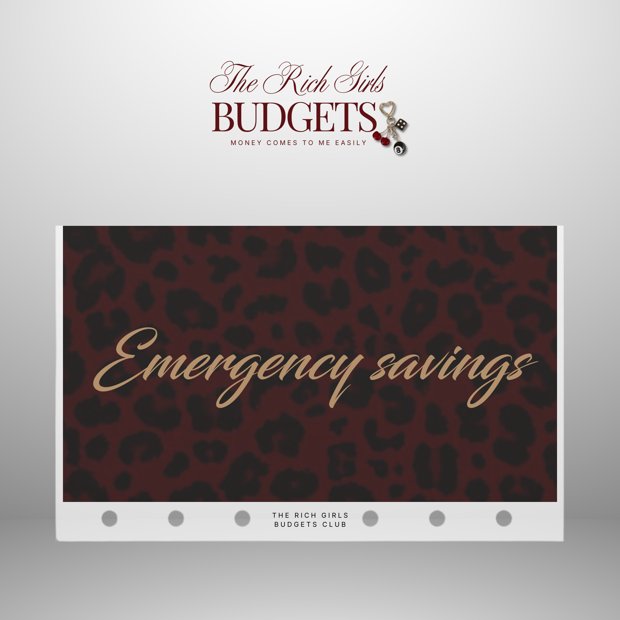 Leopard Society Cash Envelope