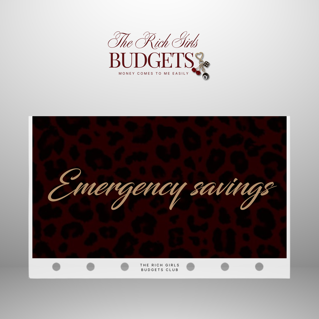 Leopard Society Cash Envelope