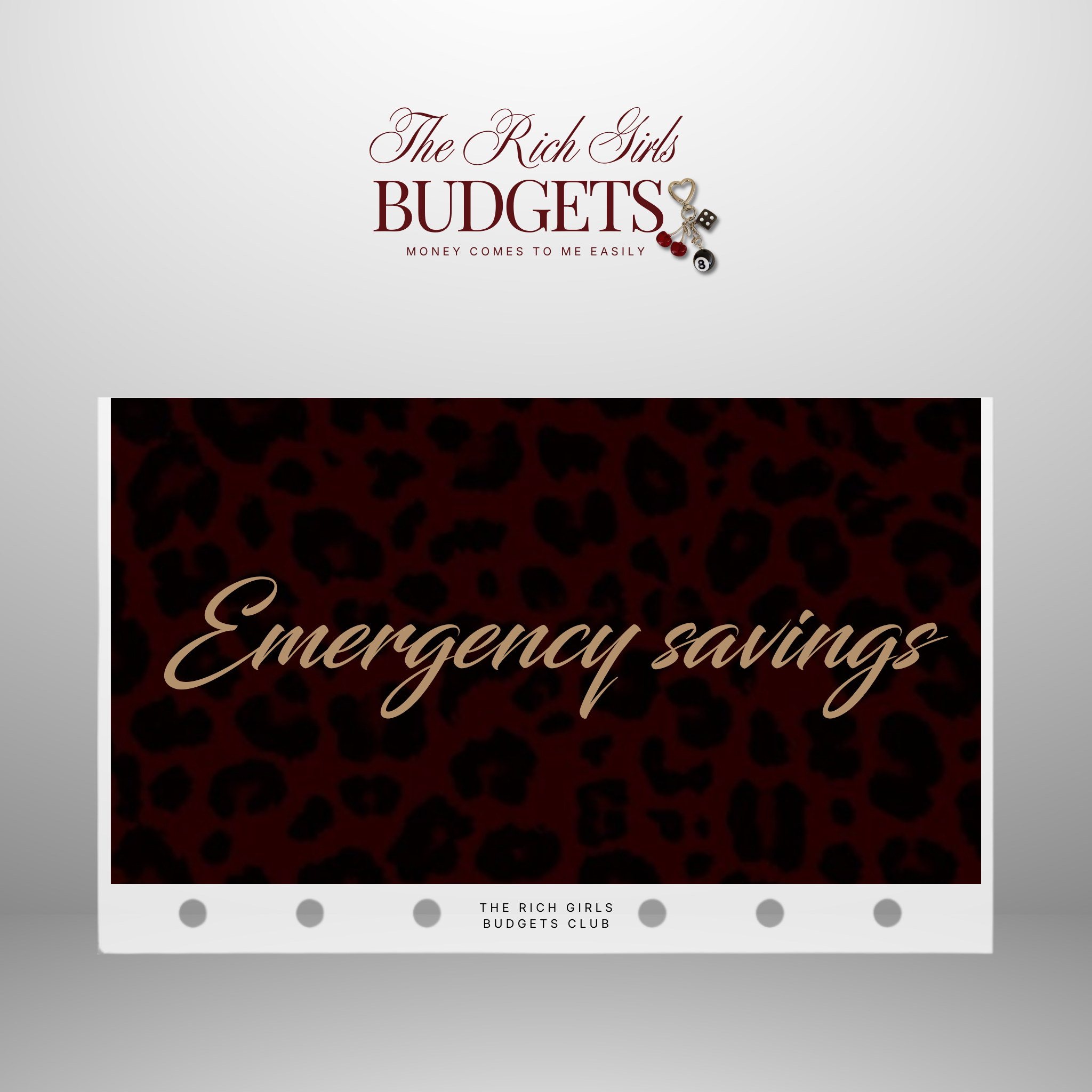 Leopard Society Cash Envelope