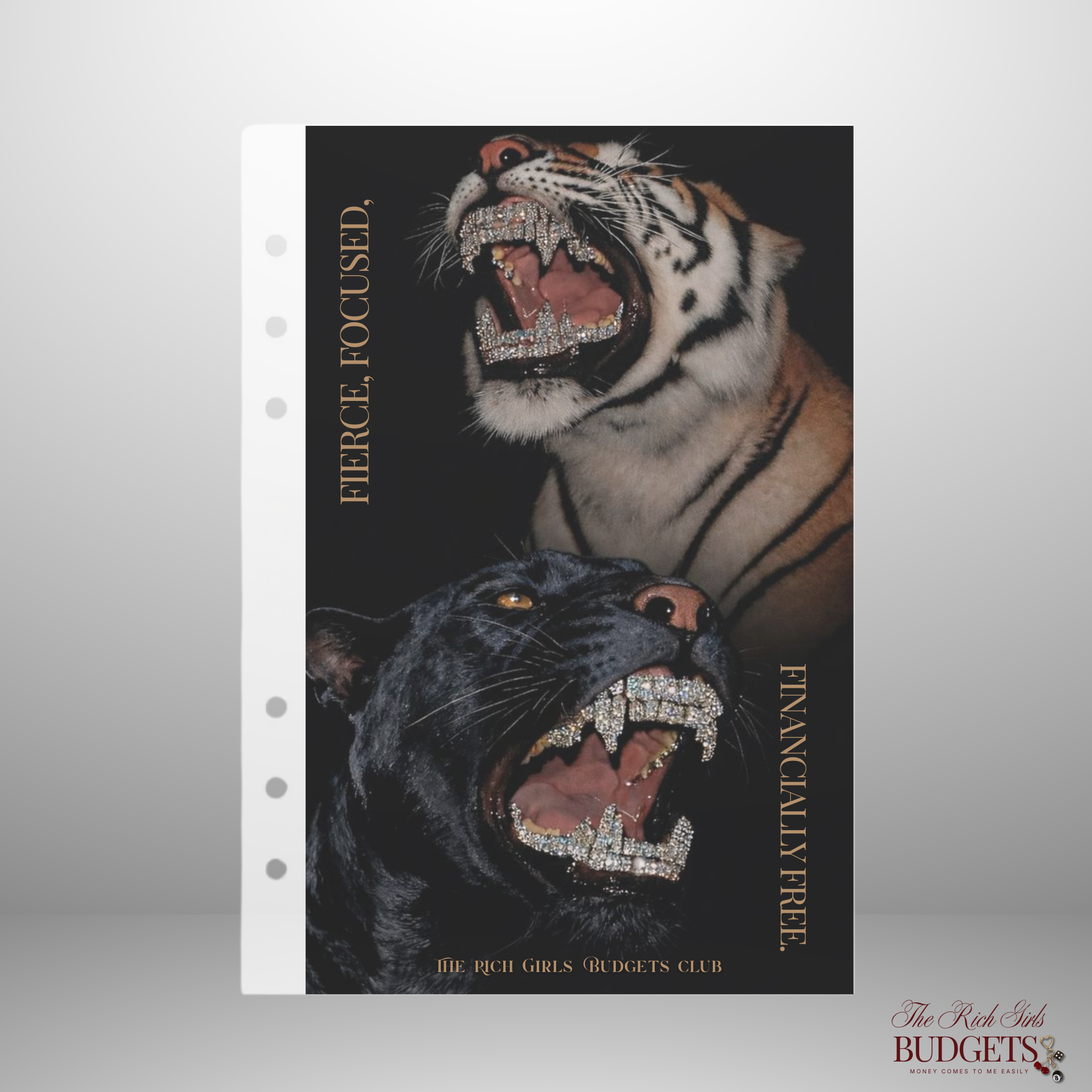 Fierce, Focused, Financially Free A6 Dashboard Cover
