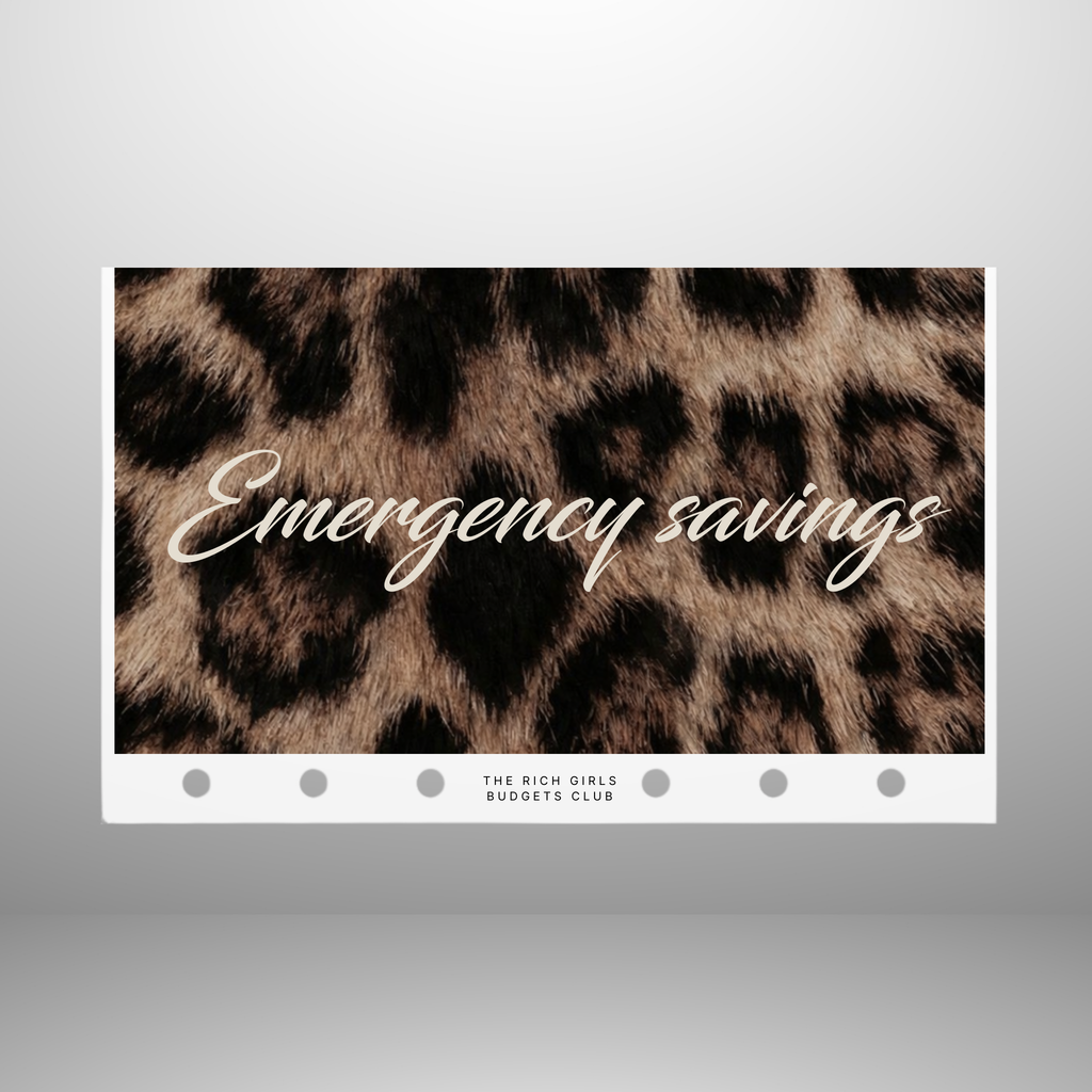 Wild Rich Cash Envelope